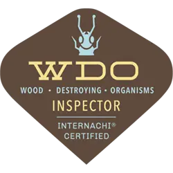 Professional Certificate 13